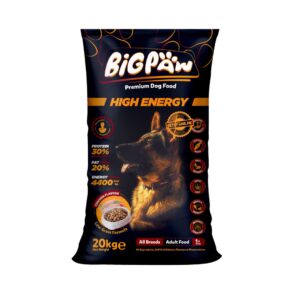 Big Paw High Energy