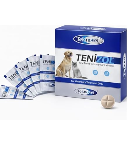 Tab Tenizol