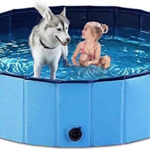 Swimming Pool for Cats & Dogs (20x80)