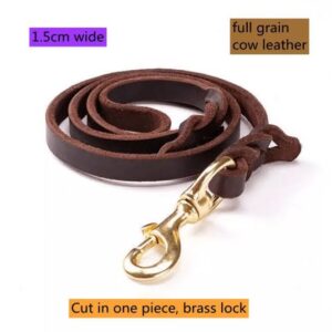 GSD Show Leash 9FT