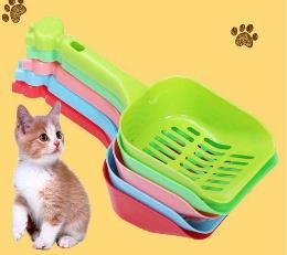 New Scoop Cat Face IMP