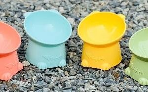 Single Cat Face Bowl IMP