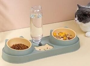 Double Bowl Cat Face Piki Water Dispensor