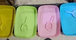 Tray Medium Without Lid