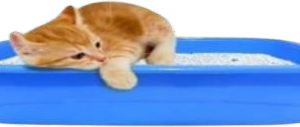 Litter Tray (L)