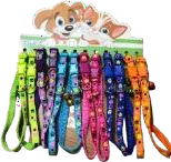 Cat Collar